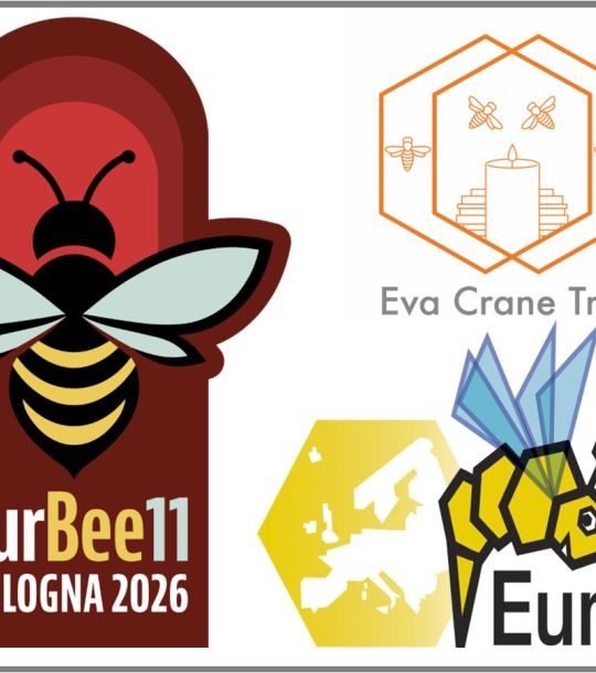 2026 EURBEE11.jpg