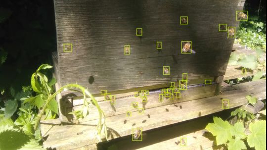 OShea_Wheller Banner.jpeg