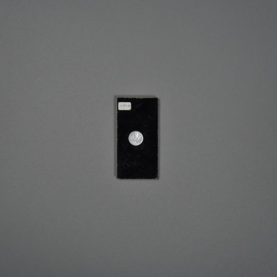ECT_14_0B70_015_01.jpg