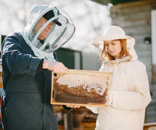 two-beekeepers-working-apiary-working-coverall-equipment.jpg