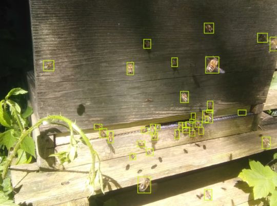 OShea_Wheller Banner.jpeg