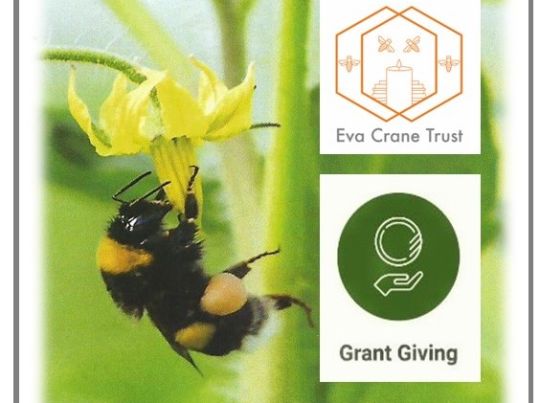 Grant Funding_23.jpg