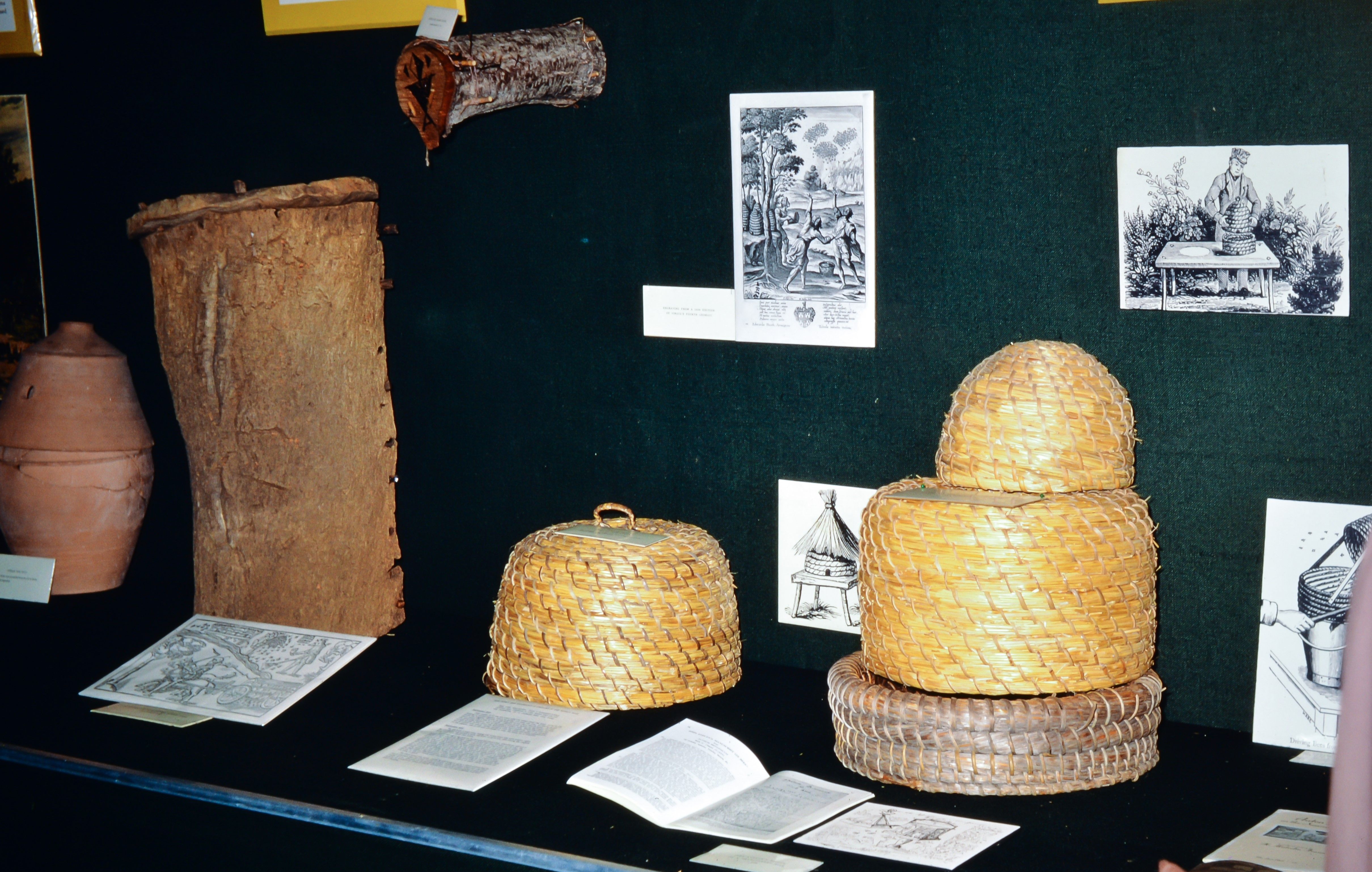 EC dispalying historic items_ECT-2372.jpg